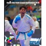  BUDO NORD  TOSHI WKF ДВОСТРАНО КАРАТЕ КИМОНО 